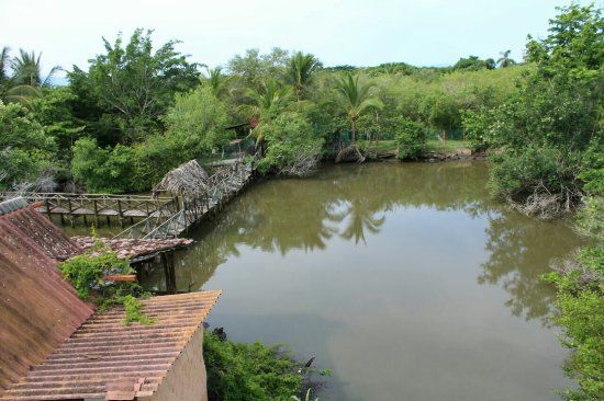 El Buzo de Bucerías